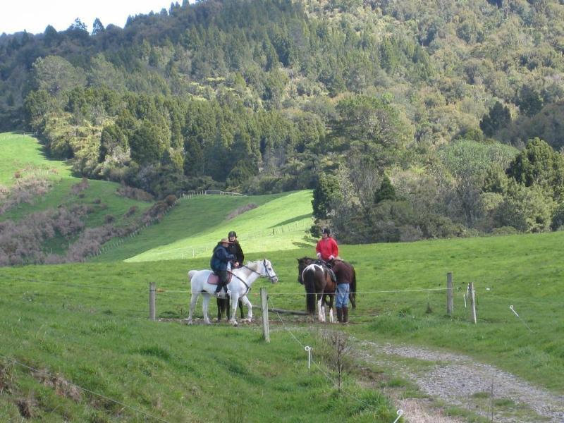 Kaimai Country Lodge Katikati Eksteriør bilde