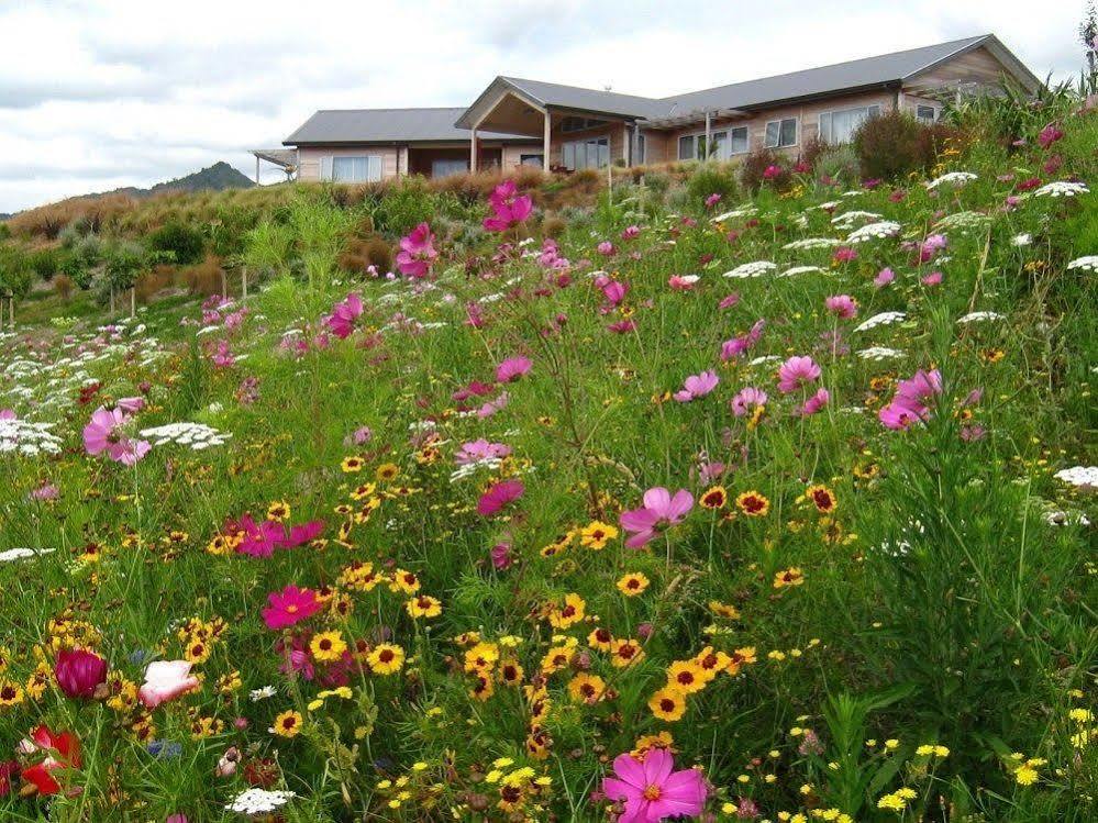 Kaimai Country Lodge Katikati Eksteriør bilde